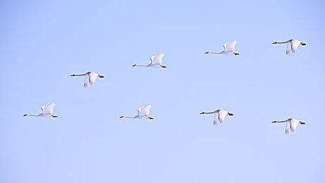 KRAFTON旗下工作室在Steam推出新游戏“三小幸存者”